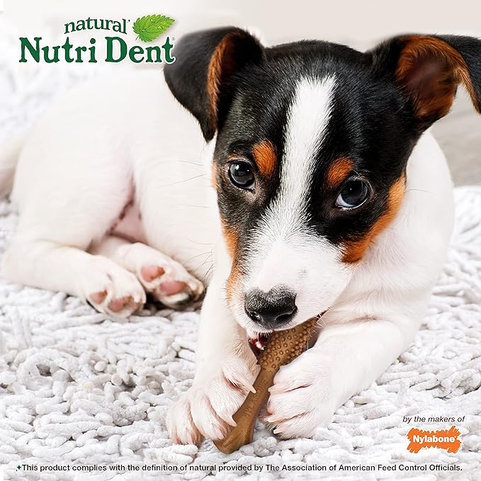 Nylabone Nutri Dent Dog Dental Chews - Natural Dog Teeth Cleaning & Breath Freshener - Dental Treats for Dogs - Filet Mignon Flavor, Small (28 Count)