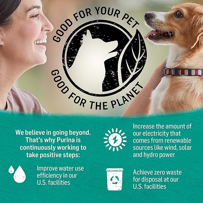 Purina Beyond Cod, Salmon and Sweet Potato Natural Ground Grain Free Wet Dog Food Pate - (Pack of 12) 13 oz. Cans.