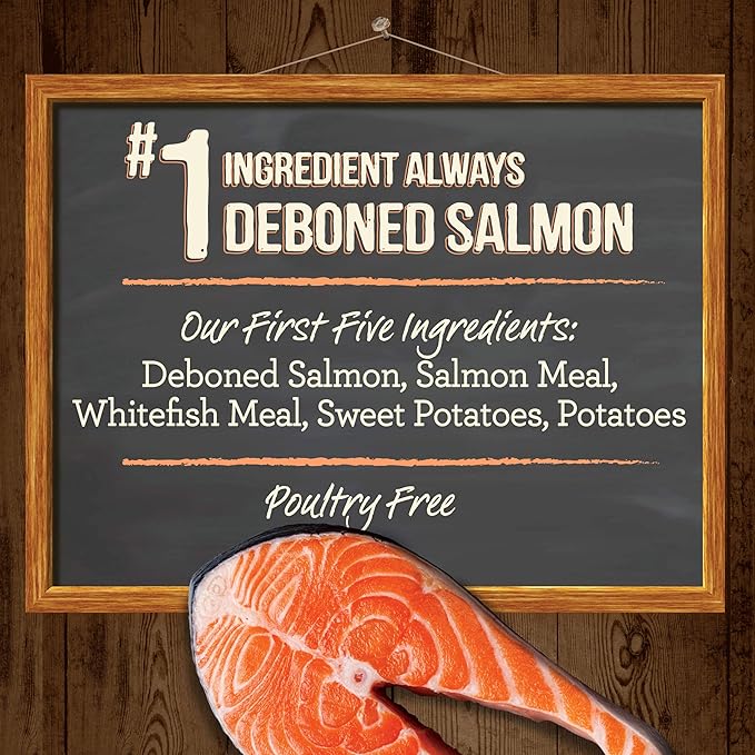 Merrick Grain Free Dry Dog Food Real Salmon & Sweet Potato Recipe - 10 lb Bag