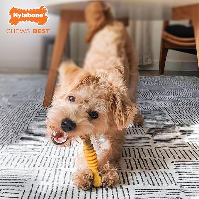 Nylabone Power Chew Flavor Frenzy Dental Bone Chew Toy for Dogs, Indestructible Chew Toys for Aggressive Chewers, Philly Cheesesteak Flavor, Small/Regular - Up to 25 Ibs. (1 Count)
