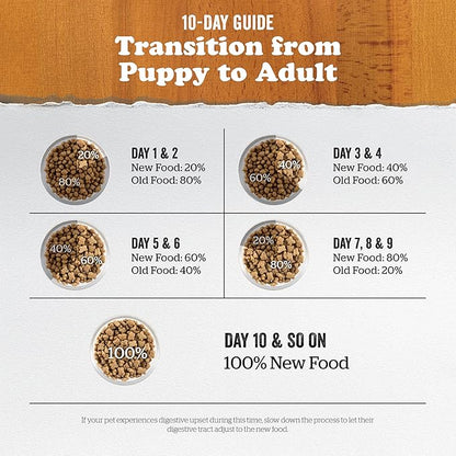 Bundle of Now Fresh Grain Free Small Breed Dog Food, 3.5 lb - Dry Puppy Food Recipe + Now Fresh Grain Free Small Breed Dog Food, 22 lb - Dry Dog Food Adult Recipe