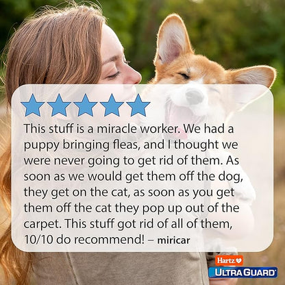 Hartz UltraGuard Plus Flea & Tick Home Spray, Kills Fleas and Ticks, Clean Fresh Scent, 16 Ounce