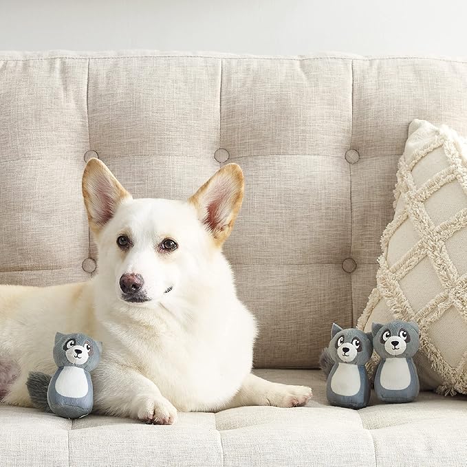 Outward Hound Squeakin' Racoon Hide A Puzzle Plush Replacement Dog Toys - 3 Pack