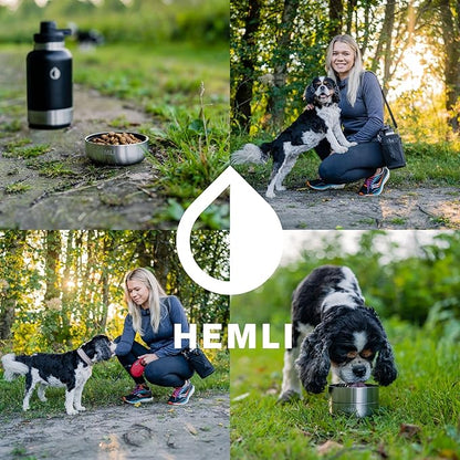 Dog Water Bottle Insulated Dog Travel Water Bottle Stainless Steel Pet Water Bottle Dispenser Portable Food and Water Bowl for Dogs with Carrying Case for Walking Dog Travel Kit… (Green Blue, 32 oz)