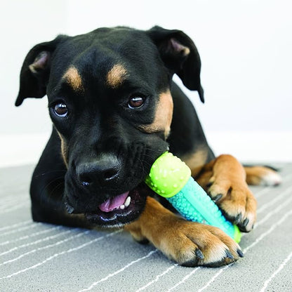 KONG CoreStrength Bone - Dog Dental Chew Toy - Durable, Multi-Layered Dog Toy for Enrichment Play & Dental Care - with Textured Body for Teeth Cleaning - for Small/Medium Dogs