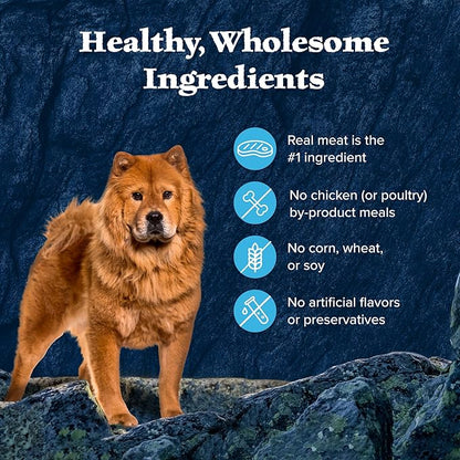 Blue Buffalo Wilderness Trail Toppers Wild Cuts Wet Dog Food Variety Pack, High-Protein & Grain-Free, Made with Natural Ingredients, Chicken and Beef Flavors, 3-oz. Pouches, (12 Count, 6 of Each)