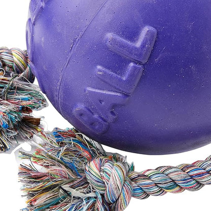 Jolly Pets Romp-n-Roll Rope and Ball Dog Toy, 8 Inches/Large, Purple, Large Breeds