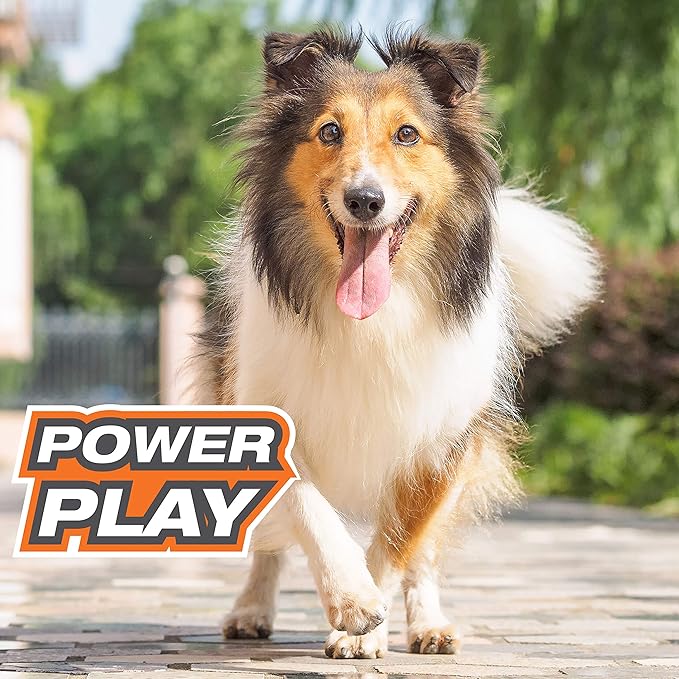 Nylabone Power Play Dog Fetch Toys Fling-a-Bounce Medium (1 Count)