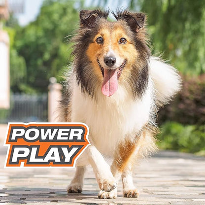 Nylabone Power Play Dog Fetch Toys Fling-a-Bounce Medium (1 Count)