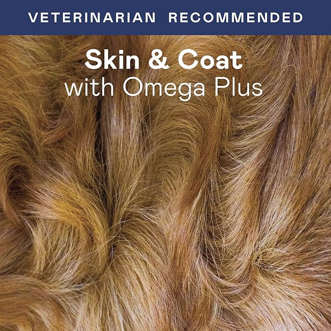 Skin & Coat Omega Plus for Dogs and Cats - Chew or Liquid - Wild Alaskan Salmon Oil for Dry, irritating & Itchy Skin - Helps Support Brain & Heart Health - with ProVitae - Vet Recommended