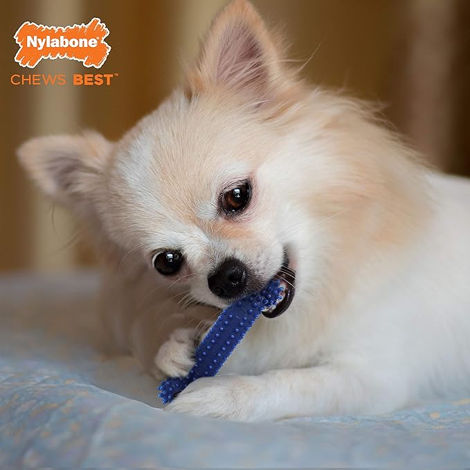 Nylabone Flexi Chew Moderate Dog Chew Toy Bones & Healthy Edibles Chew Treat Triple Pack, Chicken & Bacon, X-Small/Petite (3 Count)