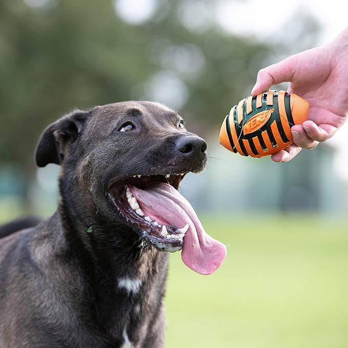 Nerf Dog Rubber Football Dog Toy with Spiral Squeaker, Lightweight, Durable and Water Resistant, 5 Inch Diameter for Medium/Large Breeds, Single Unit, Orange (8915)