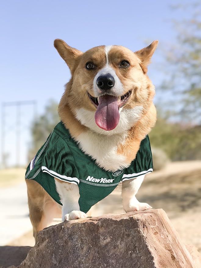 NFL New York Jets Dog Jersey, Size: Large. Best Football Jersey Costume for Dogs & Cats. Licensed Jersey Shirt