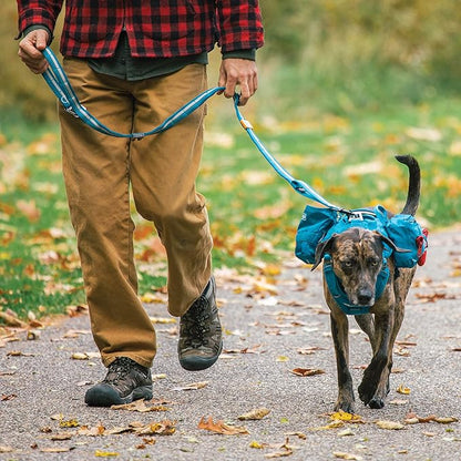 Kurgo Rsg Stub Leash for Dogs | Adjustable Dog Leash | Hands Free Dog Leash for Walking, Jogging, Or Running | Customizable Molle-Compatible Pet Lead | Training Handle | Web Keeper | Reflective | 48”