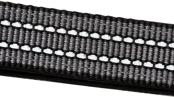 Franklin Pet Supply Nylon Dog Leash – Reflective – Comfort Fit – Neoprene Handle – 6 Foot – Dog Training – Walking – Black