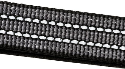 Franklin Pet Supply Nylon Dog Leash – Reflective – Comfort Fit – Neoprene Handle – 6 Foot – Dog Training – Walking – Black
