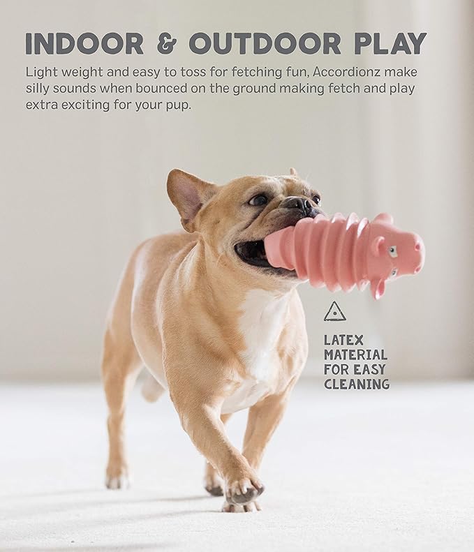 Outward Hound Accordionz Latex Rubber Squeaking Toy - Squeaky and Grunting Dog Toy, Alligator