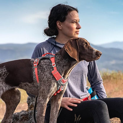 Kurgo Journey Air Dog Harness, Vest Harnesses for Dogs, Pet Hiking Harness for Running & Walking, Reflective, Padded, includes Control Handle, No Pull Front Clip (Coral, X-Large)