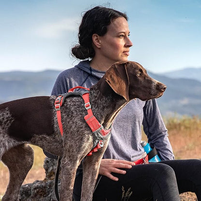 Kurgo Journey Air Dog Harness, Vest Harnesses for Dogs, Pet Hiking Harness for Running & Walking, Reflective, Padded, includes Control Handle, No Pull Front Clip (Coral, Large)