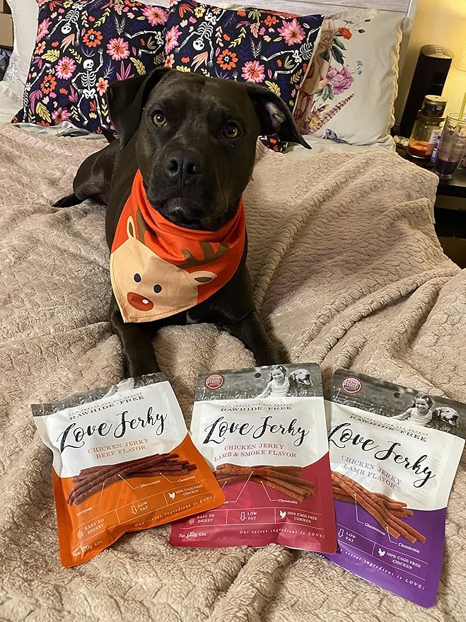 Love Jerky Chicken Jerky (Beef Flavor)