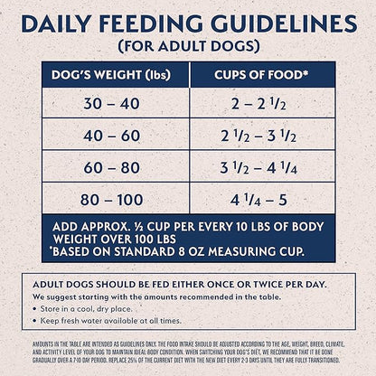 Natural Balance Limited Ingredient Large Breed Adult Dry Dog Food with Healthy Grains, Lamb & Brown Rice Recipe, 12 Pound (Pack of 1)