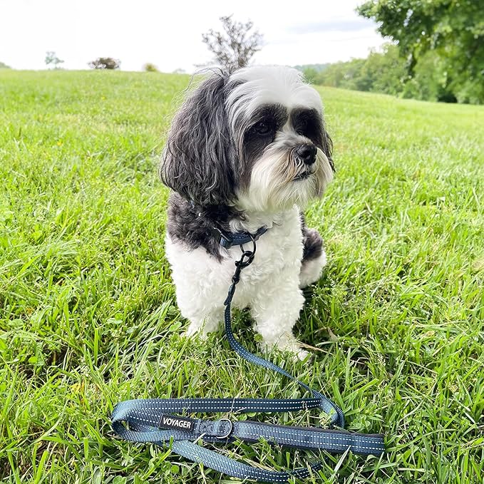 Voyager Reflective Dog Leash Collar Set with Neoprene Handle Supports Small, Medium, and Large Breed Puppies, Cute and Heavy Duty for Walking, Running, and Training - Blue, L