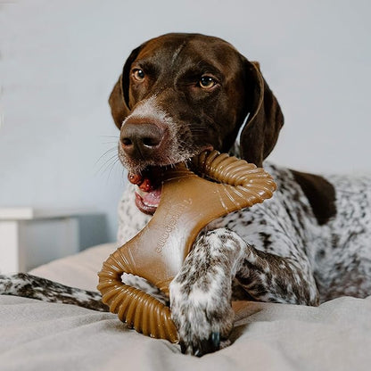 Benebone Dental Durable Dog Chew Toy for Aggressive Chewers, Real Chicken, Made in USA, Large