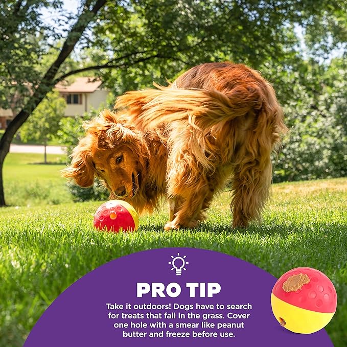 Outward Hound Nina Ottosson Treat Tumble Interactive Treat Ball Dog Puzzle Dog Enrichment Dog Toy, Level 1 Beginner, Pink, Large