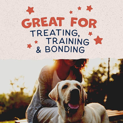 Natural Balance Limited Ingredient Rewards Crunchy Biscuits, Grain-Free Dog Treats for Adult Dogs of All Breeds, Salmon Recipe, 14 Ounce (Pack of 1)