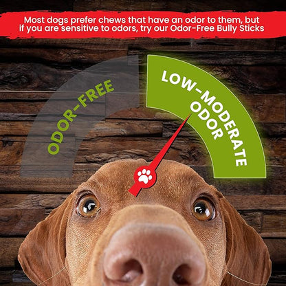 Sancho & Lola's Bully Sticks for Dogs 6-Inch Standard (5 count) Moderate Odor High-Protein Grain-Free Beef Pizzle Dog Chews