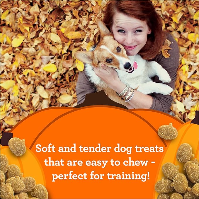 Zukes Mini Naturals Pumpkins Dog Training Treats Turkey and Pumpkin Recipe, Soft Dog Treats