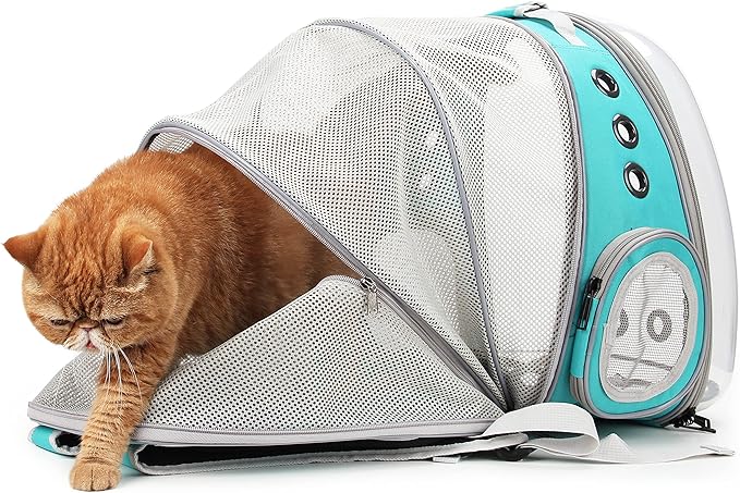 Lollimeow Bubble Expandable Cat Backpack Pet Travel Carrier for Cats and Dogs (Green-Expandable)