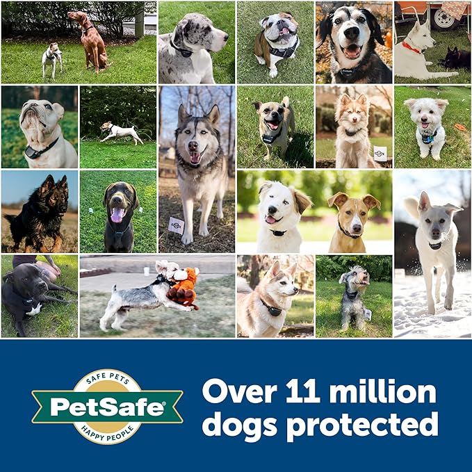 PetSafe Collar Replacement Contact Points Kit for Pet Fencing Receiver Collars - Compatible with Stay and Play Dog & Cat and YardMax Fence Collars - includes 2 Short, 2 Long Points, 1 Probe Wrench