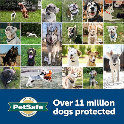 PetSafe Collar Replacement Contact Points Kit for Pet Fencing Receiver Collars - Compatible with Stay and Play Dog & Cat and YardMax Fence Collars - includes 2 Short, 2 Long Points, 1 Probe Wrench