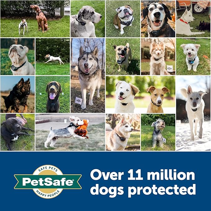 PetSafe 3/4 Replacement Collar Strap with no holes, for PetSafe Bark, Wireless Fence, In-Ground Fence and Pawz Away Collars - Rust/Red