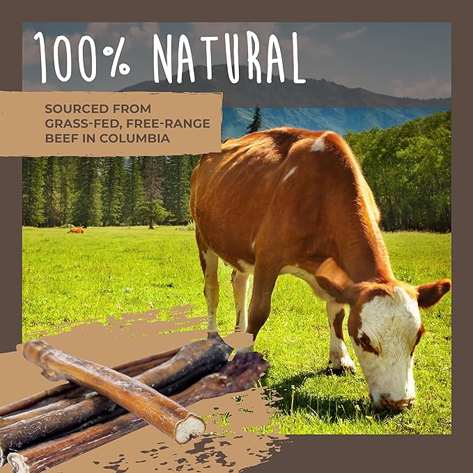 Mighty Paw Naturals Bully Sticks for Dogs - Grass Fed Beef Dog Chews. Dog Bully Sticks for Large Dogs, Medium and Small Breeds. Lower Odor Bully Sticks for Small Dogs. Single Ingredient (12" - 5 Pack)