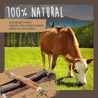 Mighty Paw Naturals Bully Sticks for Dogs - Grass Fed Beef Dog Chews. Dog Bully Sticks for Large Dogs, Medium and Small Breeds. Lower Odor Bully Sticks for Small Dogs. Single Ingredient (12" - 5 Pack)