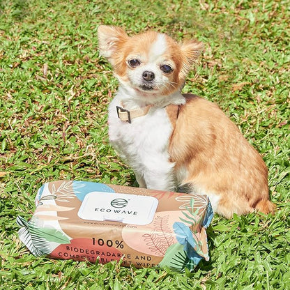 Pet Wipes, 100% Compostable Dog & Cat Grooming and Cleansing Wipes, 100 Wipes