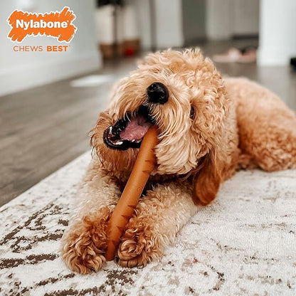 Nylabone Baguette Bread Dog Toy Power Chew – Cute Dog Toys for Aggressive Chewers – with a Funny Twist! Bistro-Style Roast Chicken Flavor, Large/Giant