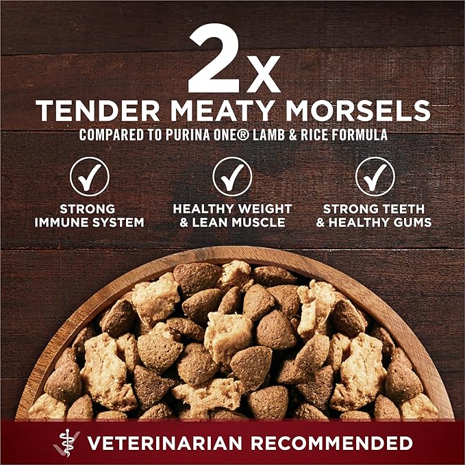 Purina One True Instinct Lean Muscle Support With Real Beef Natural With Added Vitamins, Minerals and Nutrients High Protein Dog Food - 3.8 lb. Bag