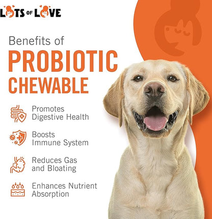 Dog Probiotic Chewable Tablets - Probiotic for Dog - Probiotic Supplement - Lots of Love Pet Products - 60 Count (Pack of 1)