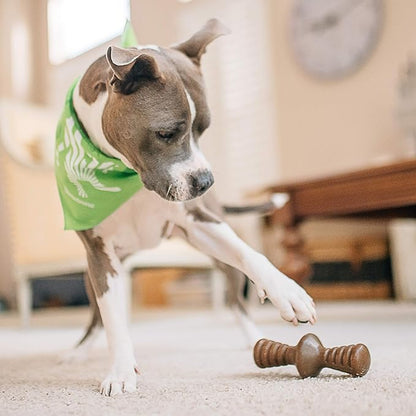 Benebone Zaggler Rolling Dog Chew Toy for Aggressive Chewers, Real Peanut, Made in USA, Large