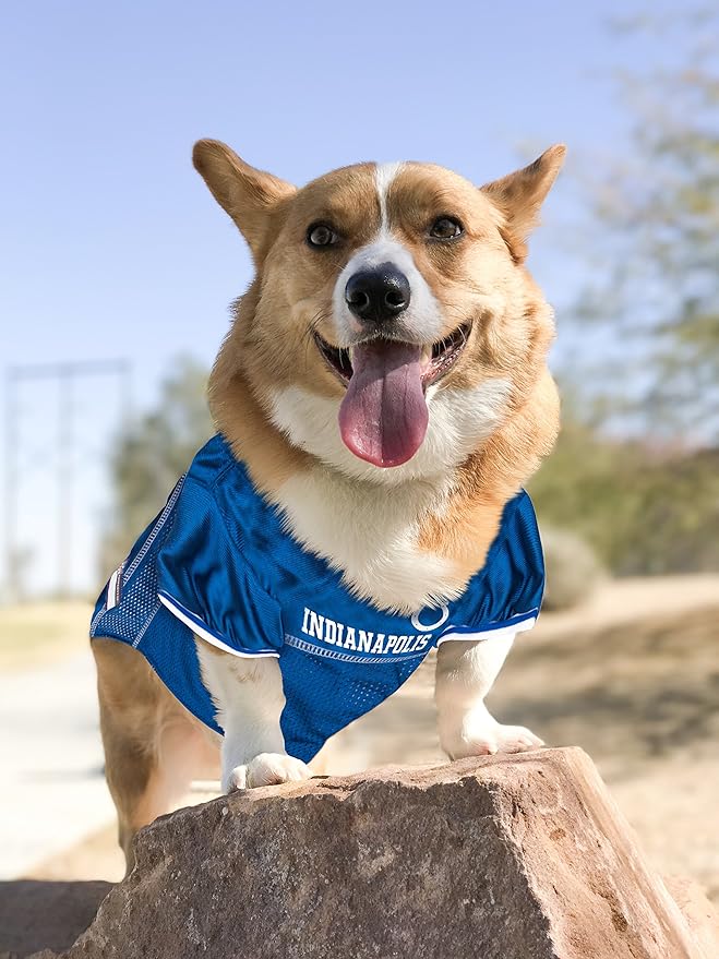 NFL Indianapolis Colts Dog Jersey, Size: X-Small. Best Football Jersey Costume for Dogs & Cats. Licensed Jersey Shirt