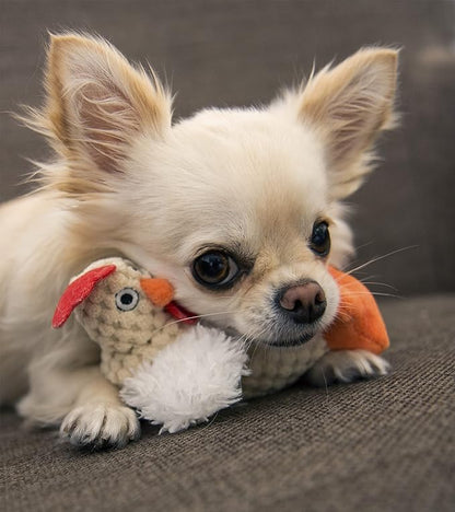 goDog Checkers Just For Me Fat Rooster Squeaky Plush Dog Toy, Chew Guard Technology - White, Mini