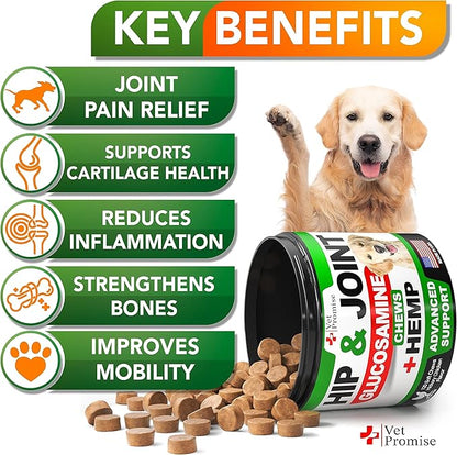 Hemp Hip and Joint Support Supplement for Dogs - Glucosamine for Dogs - Dog Joint Supplement - Hip and Joint Chews for Dogs with Chondroitin - MSM - Hemp Oil - Hemp Chews For Dogs - Dog Pain Relief