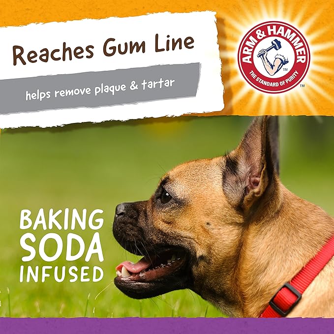 Arm & Hammer for Pets Super Treadz Mini Gator Dental Chew Toy for Dogs | Best Dental Dog Chew Toy | Dog Dental Chew Toys Reduce Plaque & Tartar Buildup Without Brushing | for Dogs up to 25 Lbs