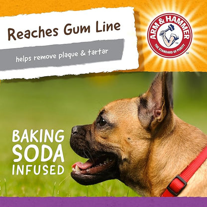 Arm & Hammer for Pets Super Treadz Mini Gator Dental Chew Toy for Dogs | Best Dental Dog Chew Toy | Dog Dental Chew Toys Reduce Plaque & Tartar Buildup Without Brushing | for Dogs up to 25 Lbs