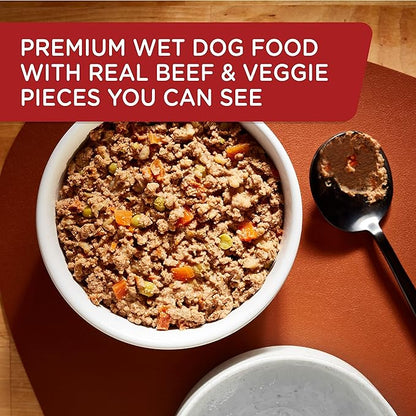Rachael Ray Nutrish Wet Dog Food, Beef & Pumpkin, 13 Ounce Can (Pack of 12)
