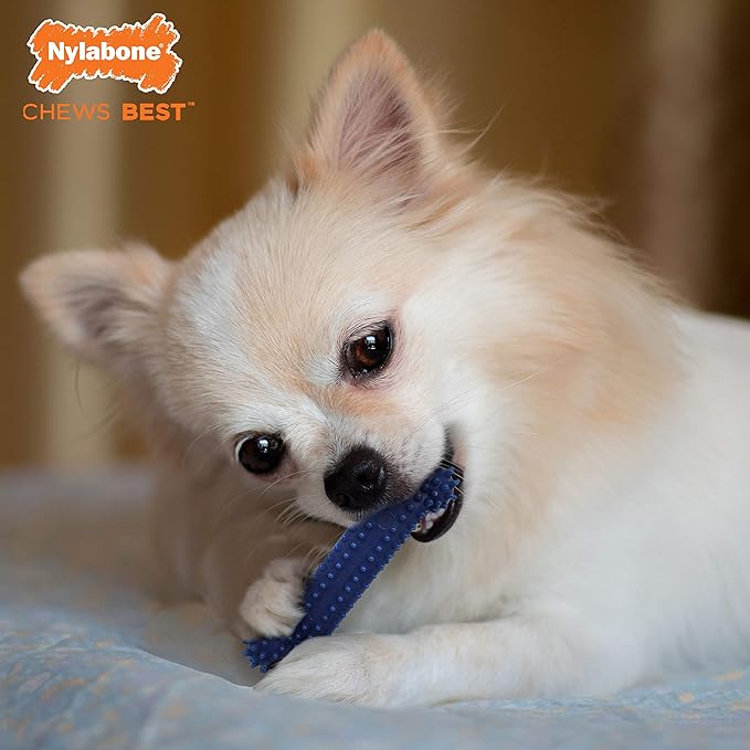 Nylabone Flexi Chew Moderate Textured Dental Chew Toy for Dogs, Chicken Flavor, X-Small/Petite (1 Count)