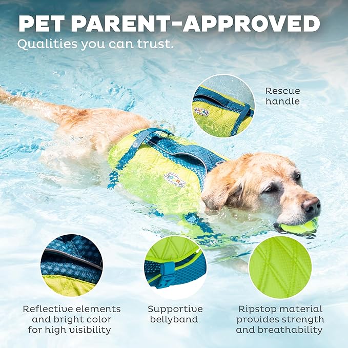 Outward Hound Standley Sport Green Performance Dog Life Jacket, Large